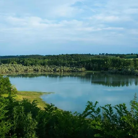 Peace Pool & Charm *