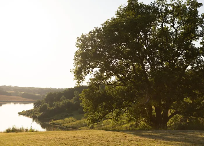 Peace Pool & Charm * Peyrusse-Grande