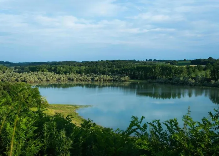 Peace Pool & Charm *